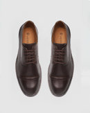 Sapato Derby Giordano Café